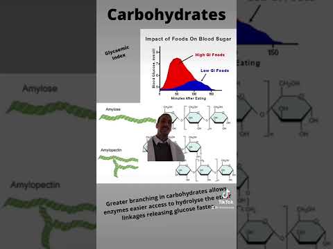 Thumbnail for Hi-Fibre and Low-GI - explained with chemistry