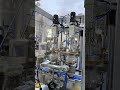 Leaf packaging line@ #can #machine #capping#levapack