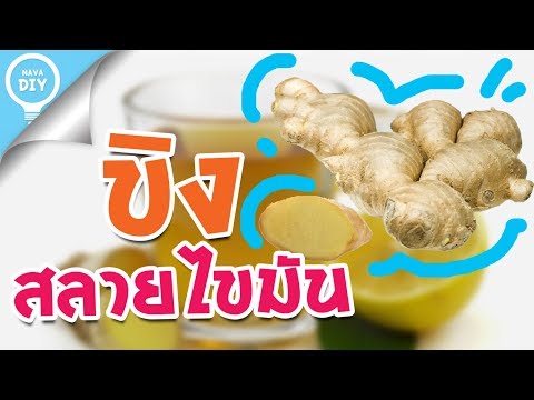 Nava DIY | ขิง สมุนไพรสลายไขมัน กับ15 สรรพคุณของขิง เครื่องดื่มสมุนไพรเพื่อสุขภาพ