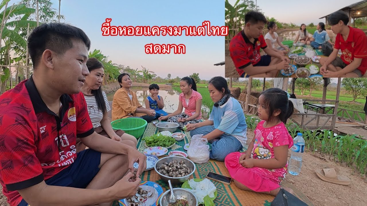 ซื้อหอยแครงจากประเทศไทย ทำกินกับครอบครัวอร่อยมากๆ|ຊື້ຫອຍແຄງມາຈາປະເທດໄທ