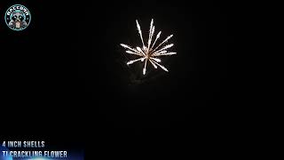 Raccoon Fireworks 1.3G JY4 0292 4 inch Shell Ti Crackling Flower