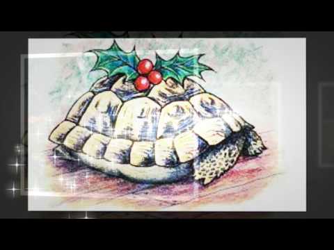 How The Tortoise Got His Crooked Shell
