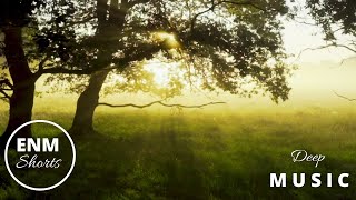 FOREST rest music |deep music|#shorts,#enm