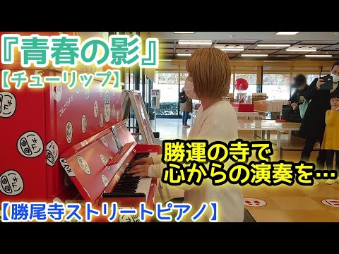 勝運の寺で心からの演奏を…『青春の影』チューリップ【勝尾寺ストリートピアノ】