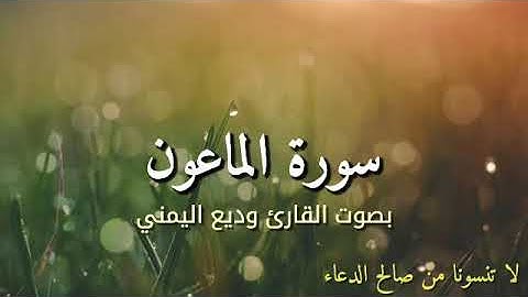 سورة الماعون بصوت القارئ وديع اليمني
