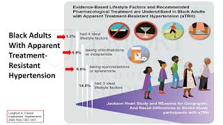 Advances in Hypertension 2024: Will New Drugs and Renal Nerve Denervation Eliminate Disparities