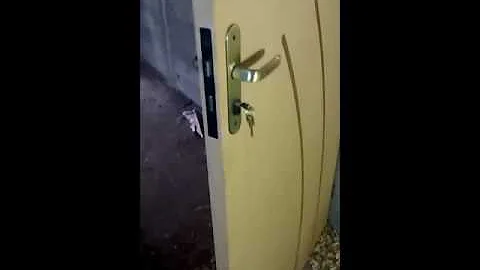 Como alinha porta?