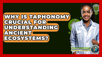 Why Is Taphonomy Crucial For Understanding Ancient Ecosystems? - Earth Science Answers