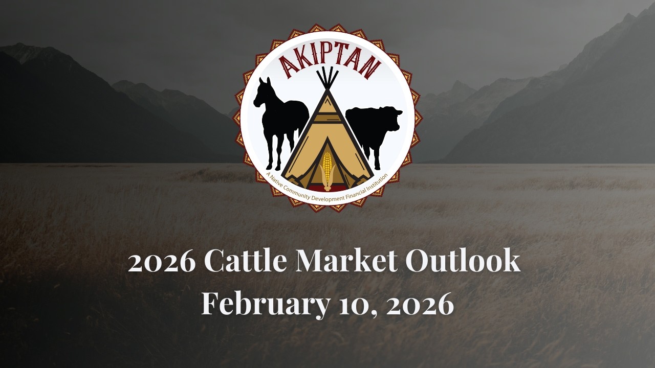 2026 Cattle Outlook
