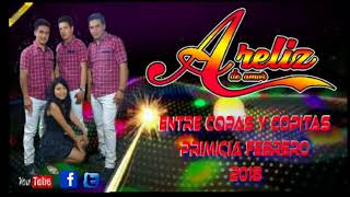 Video thumbnail of "Entre copas y copitas areliz de amor"