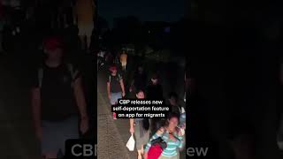 CBP releases new self-deportation feature on app for migrants | NBC4 Washington