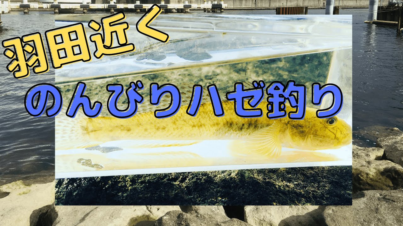 東京羽田近くでハゼ釣り ツリラボ