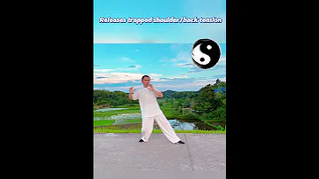 MELT Away Stress With Mountain Push Tai Chi 