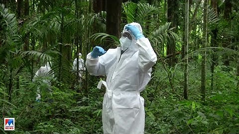 അഞ്ചുപേരുടെ സാംപിൾ കൂടി നെഗറ്റീവ്; നിപയിൽ ആശങ്ക അകലുന്നു ​|Nipah Virus