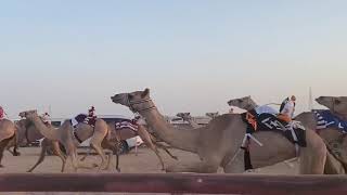 الشوط الخامس بكار مفاريد من متر