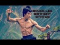 Bruce lee Birthday tribute Tamil.....