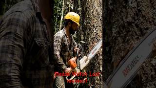 Do you think we are causing a big problem by cutting down trees? #savetrees #treeemergency
