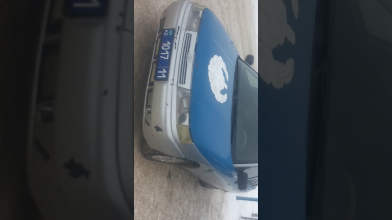 Торетам 25.12.2016 ж гай