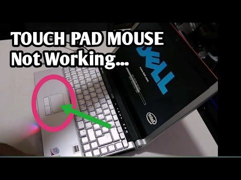 Video: Paano ko aayusin ang aking touchpad sa aking Dell laptop?