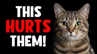 16 Things That Damage Your Cat’s Bond With You