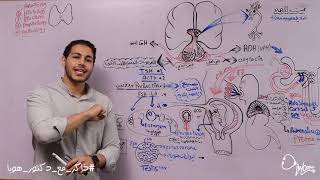 الغده الدرقيه و الجار درقيه (الجزء الاول) | احياء تالته ثانوي | دكتور هوبا