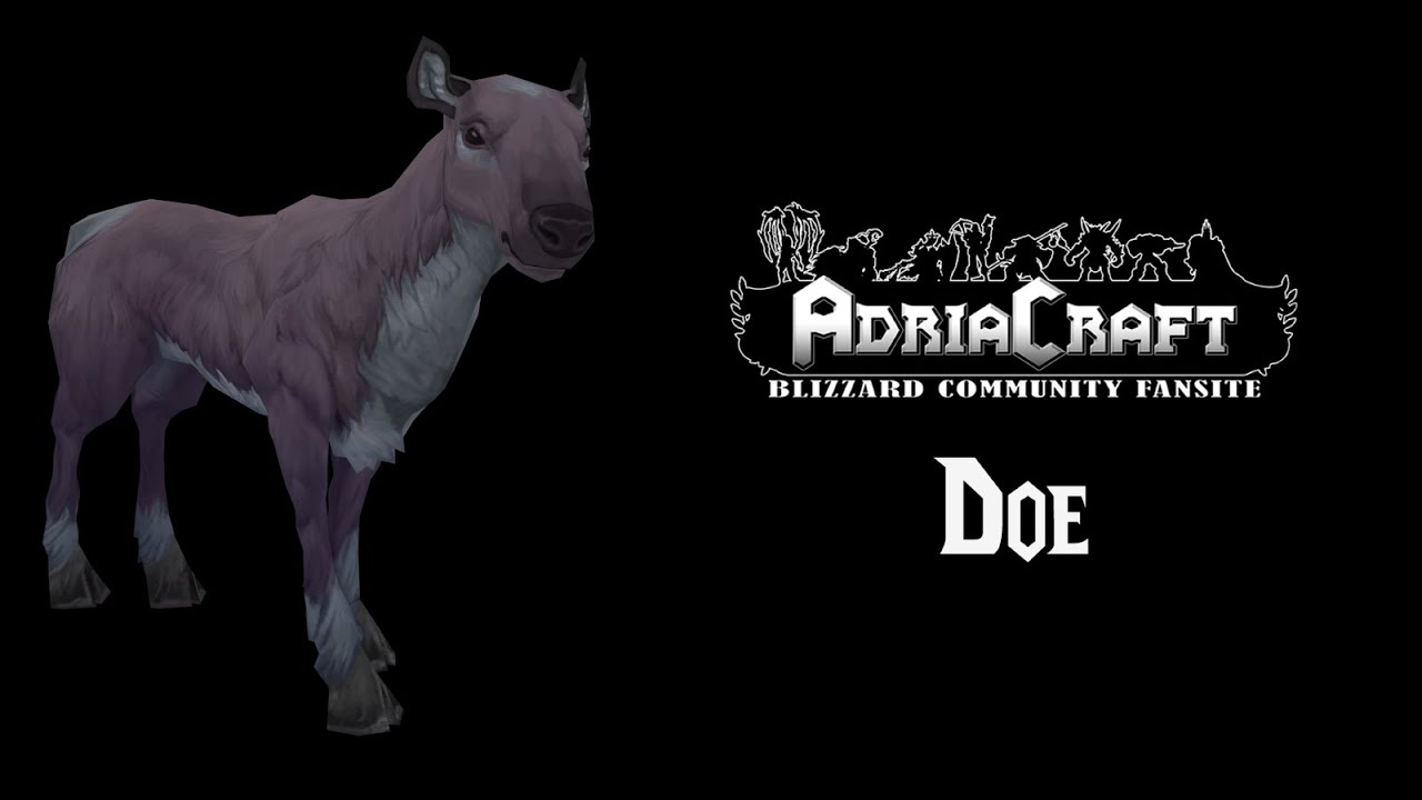 doe legion youtube travel form legion