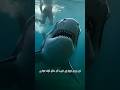 Samandar Ke Andar Kuch Aisa Hai… Jo Tum Soch Bhi Nahi Sakte 😳 #shorts #viral #facts