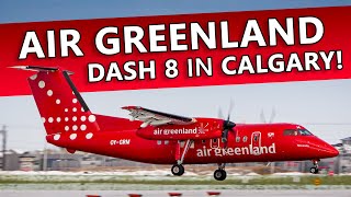 RARE VISITOR! Air Greenland Dash 8-200 Landing at Calgary Airport