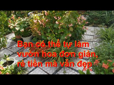 Video: Vườn Hoa Tự Làm