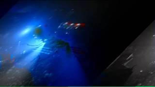 iBIZA 2011.avi