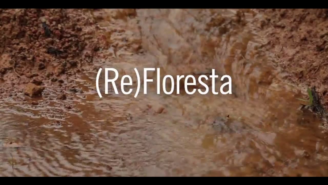 🎞️ 🍃 Curta Agroecologia || ReFloresta