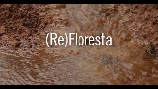 🎞️ 🍃 Curta Agroecologia || ReFloresta