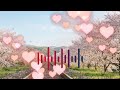 봄날 기차 여행 | 잔잔하고 따뜻한 인디 포크 팝