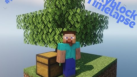 Minecraft Skyblock Timelapse: Part 1