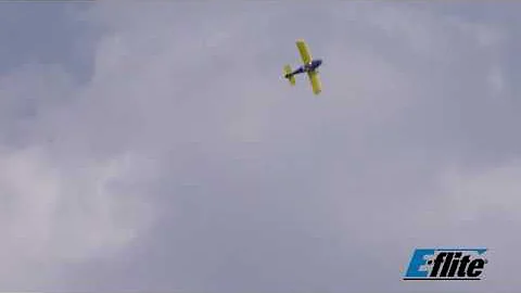 RV-9 450 ARF by E-flite