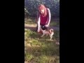 The quickest and easiest way to teach your dog to lie down. The quickest and easiest way to teach your dog to lie down.