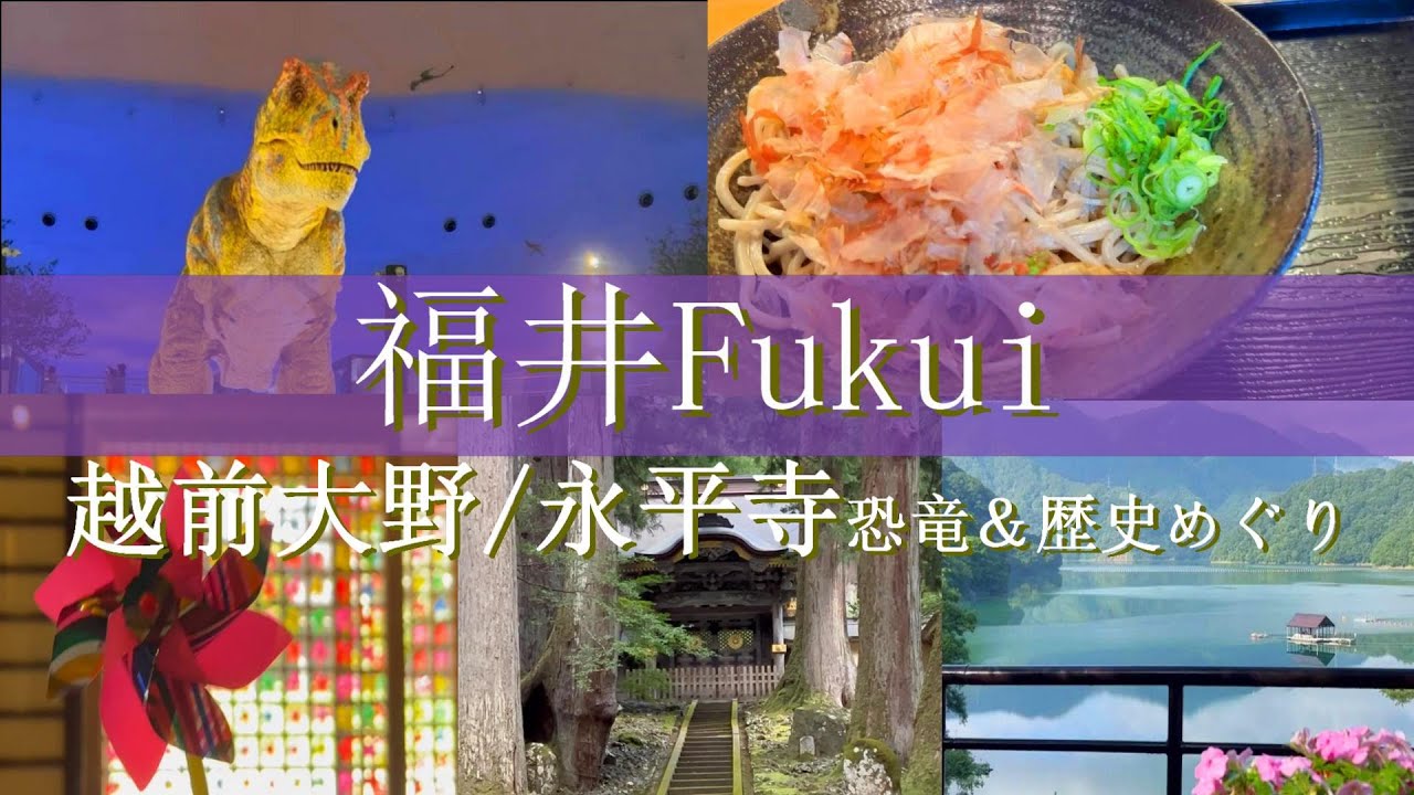 【福井旅行vlog】越前大野～永平寺観光♪一度は行きたい歴史ロマンと恐竜を巡る旅♪ 越前大野｜平泉寺白山神社｜恐竜博物館｜永平寺［福井県1泊2日の旅day1］
