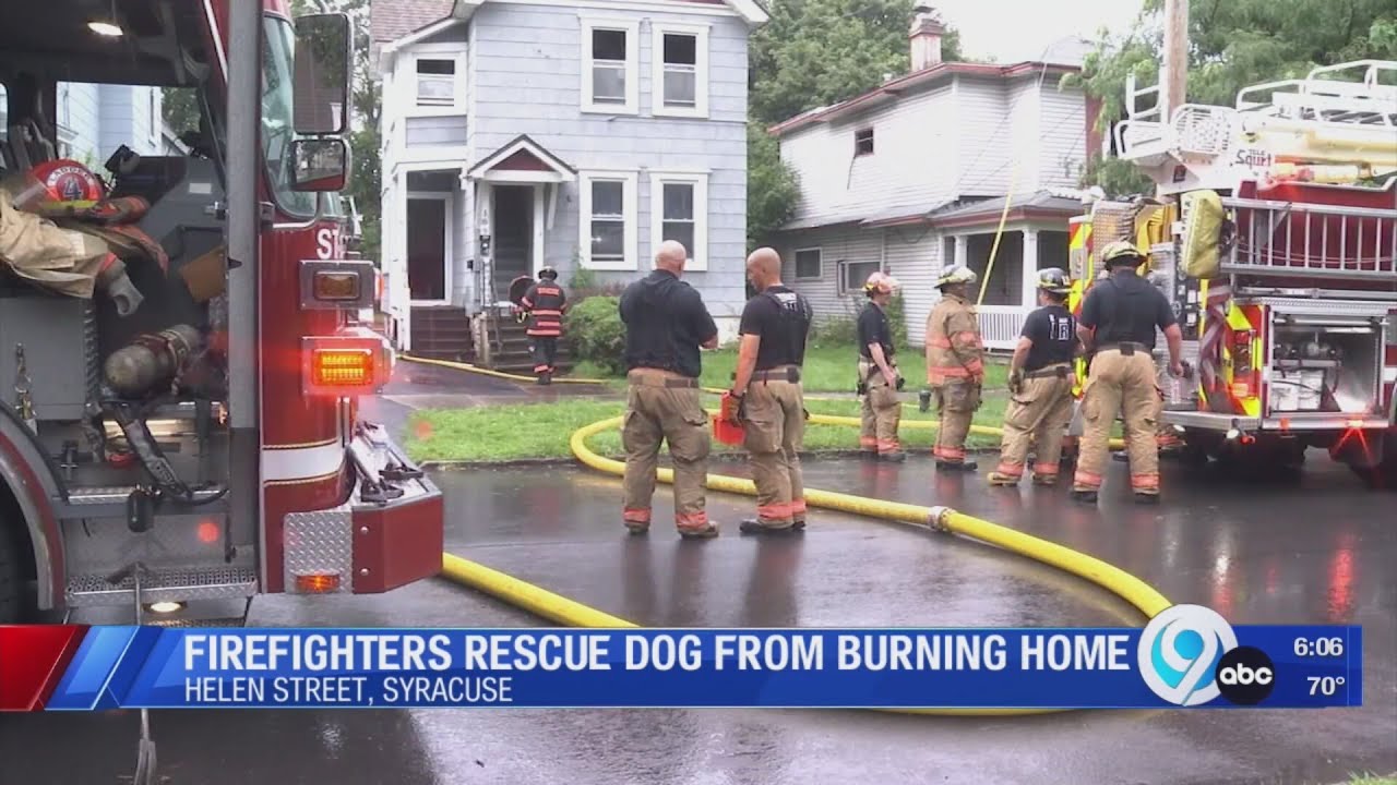 Firefighters rescue dog from burning home - YouTube
