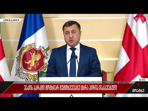 ბრიფინგი შსს-ში - ვაკის პარკში მომხდარ შემთხვევაზე ცხრა პირია დაკავებული