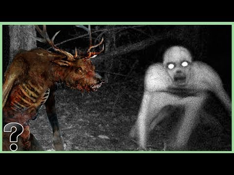 What If The Wendigo Fought The Rake?