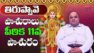 తిరుప్పావై పాశురాలు పీఠిక 11వ పాశురం || Paravasthu Anandaraman || Thiruppavai Pashuralu