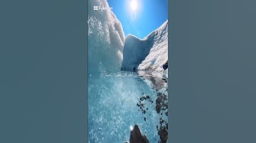 واستغفر الله ان الله كان غفورا رحيما قران كريم #قرآن #قران_كريم #ياسر_الدوسري