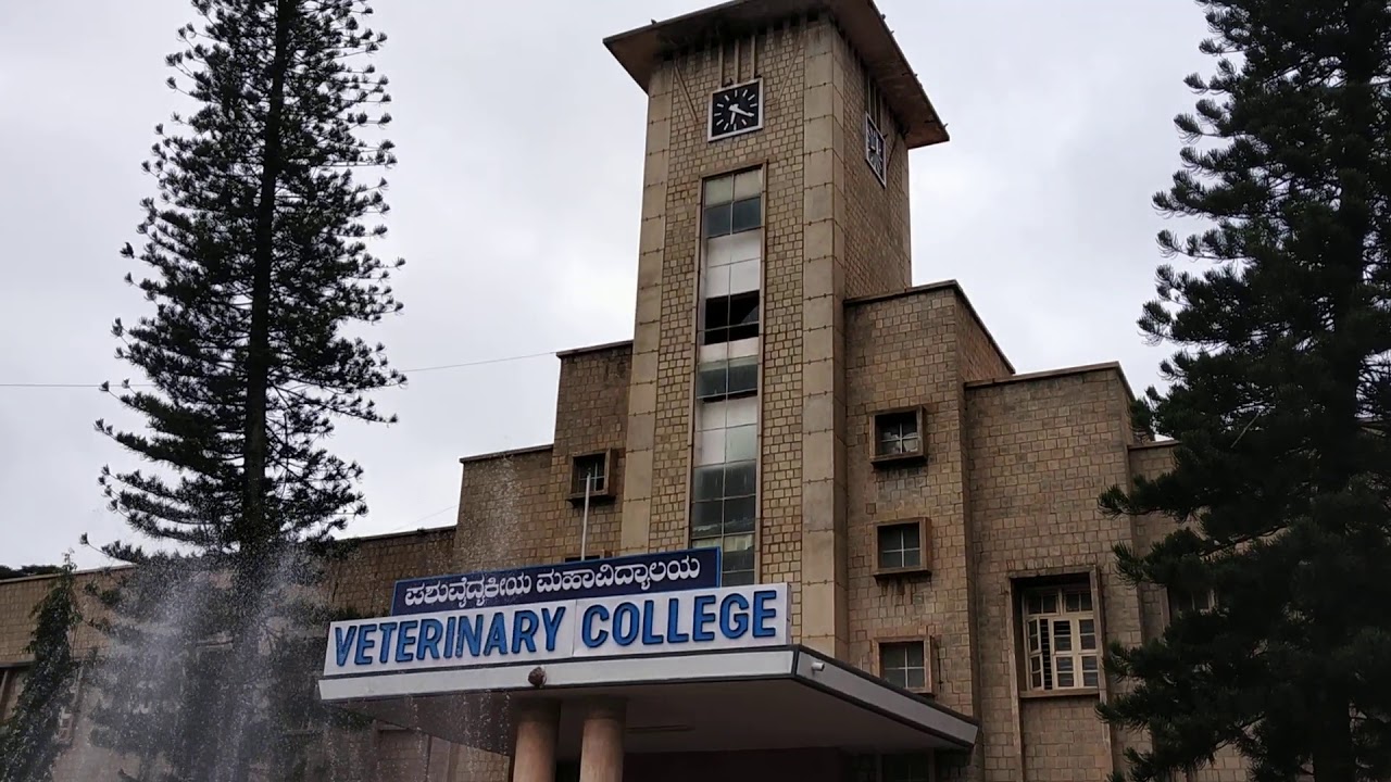 The Veterinary College, Bangalore Established on 25 July 1958. YouTube