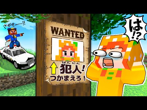 犯人にされるマインクラフト！(#ぴこみんず)本当の指名手配犯は誰？？