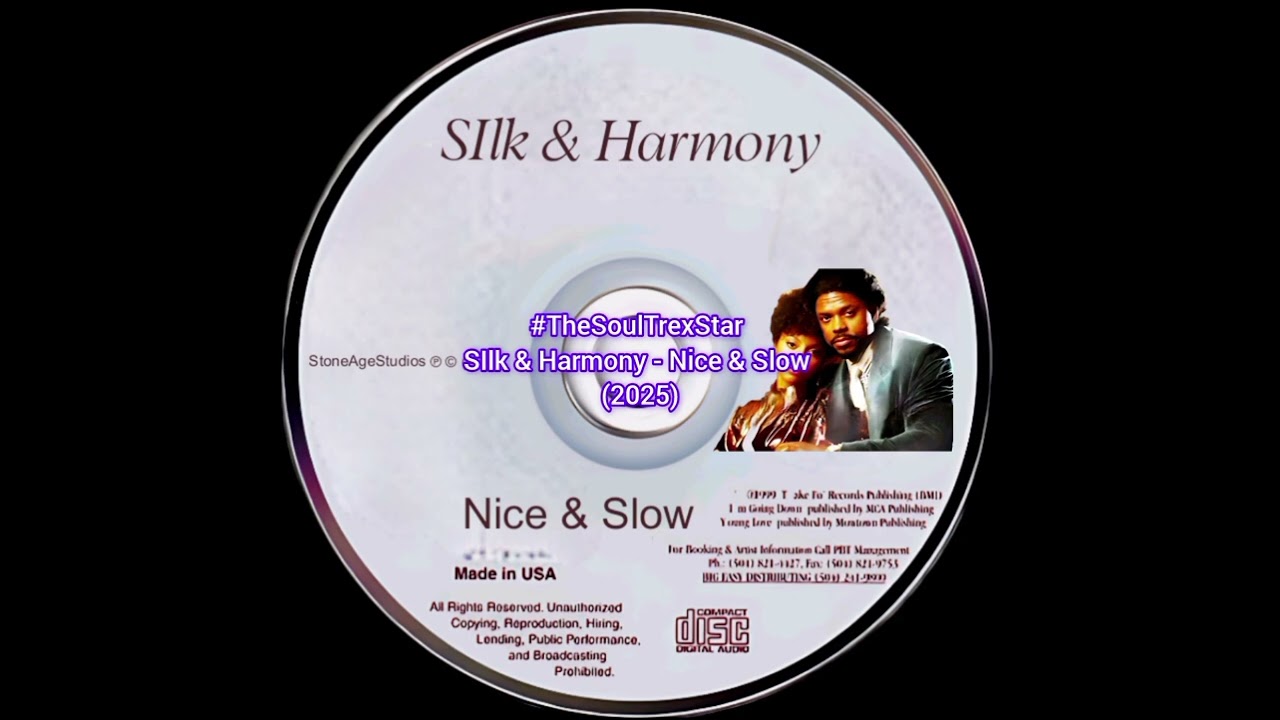 Silk & Harmony - Nice & Slow (2025) 