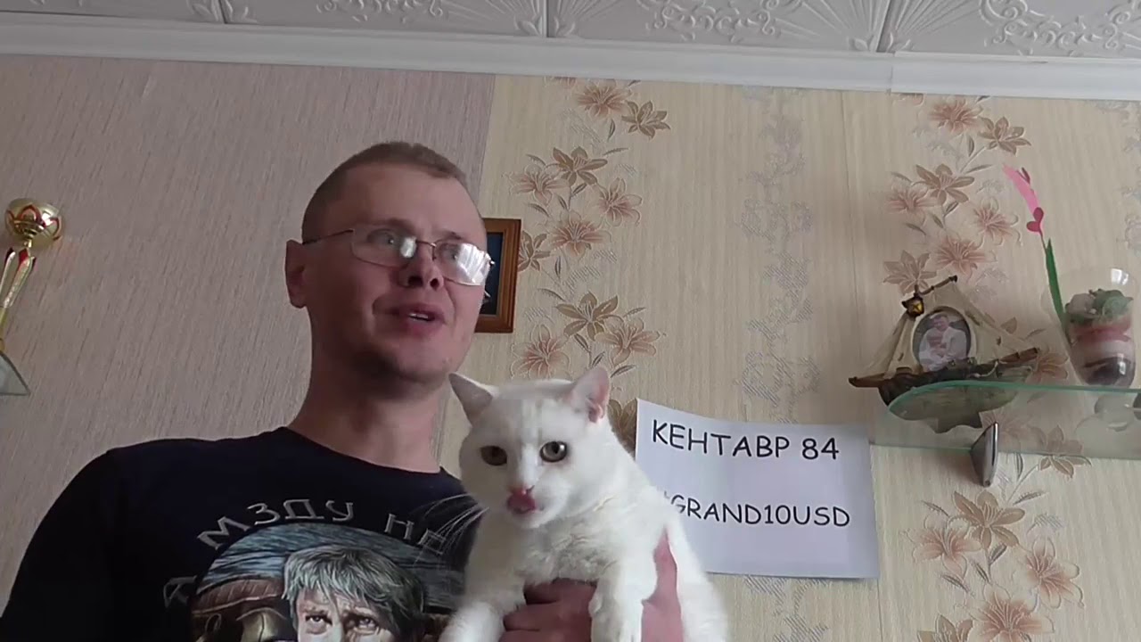 Отзывы о Grand Casino и турнирах