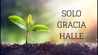 Video thumbnail of "Solo Gracia Halle"