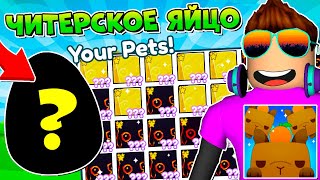 САМОЕ PET SIMULATOR X В РОБЛОКС ROBLOX, читерское яйцо для huge петов в.