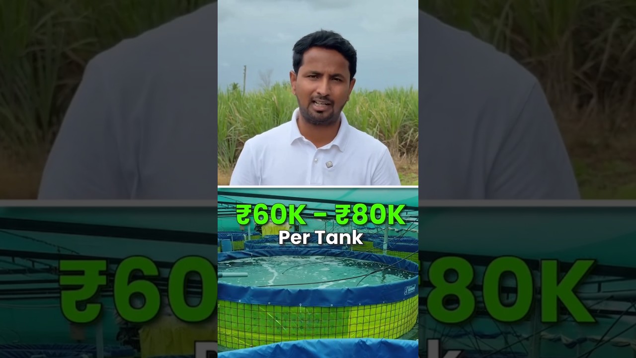 fish farming | fish farming in india | fish farming business | 