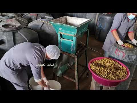 جولة في مصنع المخللات والتجهيز لشهر رمضان